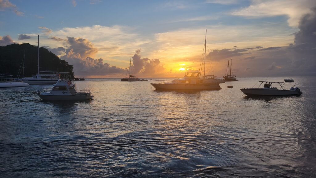 Vincy GreenRoots team members working on a beach cleanup in St. Vincent