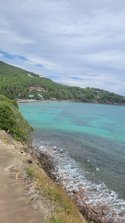 Aerial view of Caribbean coastline showing the contrast between clean beaches and sargassum accumulation
